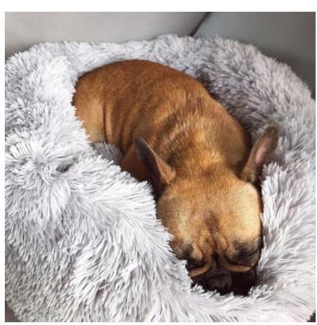 Ultra-Soft Round Plush Pet Bed